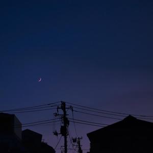 日本系列第一页
